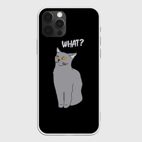 Чехол для iPhone 12 Pro с принтом What cat , силикон | область печати: задняя сторона чехла, без боковых панелей | cat | kitten | kitty | what кот | британская кошка | британский кот | в смысле | взгляд | вопрос | вопросительный знак | глаза кота | животные | кот мем | котенок | котик | котята | кошак | кошка | мемы