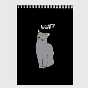 Скетчбук с принтом What cat , 100% бумага
 | 48 листов, плотность листов — 100 г/м2, плотность картонной обложки — 250 г/м2. Листы скреплены сверху удобной пружинной спиралью | Тематика изображения на принте: cat | kitten | kitty | what кот | британская кошка | британский кот | в смысле | взгляд | вопрос | вопросительный знак | глаза кота | животные | кот мем | котенок | котик | котята | кошак | кошка | мемы