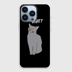 Чехол для iPhone 13 Pro с принтом What cat ,  |  | Тематика изображения на принте: cat | kitten | kitty | what кот | британская кошка | британский кот | в смысле | взгляд | вопрос | вопросительный знак | глаза кота | животные | кот мем | котенок | котик | котята | кошак | кошка | мемы