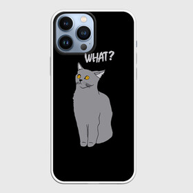 Чехол для iPhone 13 Pro Max с принтом What cat ,  |  | Тематика изображения на принте: cat | kitten | kitty | what кот | британская кошка | британский кот | в смысле | взгляд | вопрос | вопросительный знак | глаза кота | животные | кот мем | котенок | котик | котята | кошак | кошка | мемы