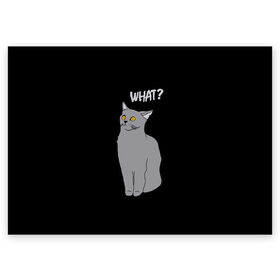 Поздравительная открытка с принтом What cat , 100% бумага | плотность бумаги 280 г/м2, матовая, на обратной стороне линовка и место для марки
 | Тематика изображения на принте: cat | kitten | kitty | what кот | британская кошка | британский кот | в смысле | взгляд | вопрос | вопросительный знак | глаза кота | животные | кот мем | котенок | котик | котята | кошак | кошка | мемы