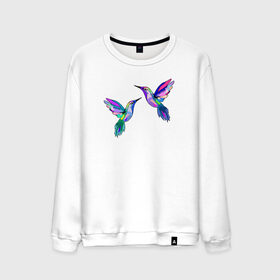 Мужской свитшот хлопок с принтом Колибри , 100% хлопок |  | angel | bird | butterfly | parrot | summer | tropical | wings | ангел | бабочки | джунгли | животные | красочные | крылья | летний | лето | перья | попугай | природа | птица | птичка | радужные | райский | стриж | тропики