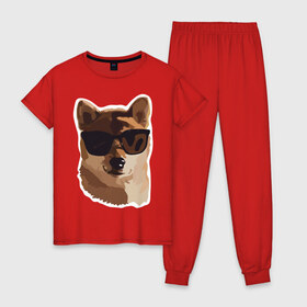 Женская пижама хлопок с принтом Собакен , 100% хлопок | брюки и футболка прямого кроя, без карманов, на брюках мягкая резинка на поясе и по низу штанин | dog | dogs | домашний питомец | лучший друг человека | лучшийдру | очки | собака | собаки | собачка