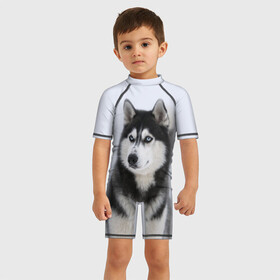 Детский купальный костюм 3D с принтом ХАСКИ , Полиэстер 85%, Спандекс 15% | застежка на молнии на спине | dog | husky | милый | пес | песик | собака | собачка | хаски | щенок