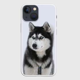 Чехол для iPhone 13 mini с принтом ХАСКИ ,  |  | dog | husky | милый | пес | песик | собака | собачка | хаски | щенок