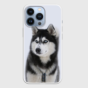 Чехол для iPhone 13 Pro с принтом ХАСКИ ,  |  | dog | husky | милый | пес | песик | собака | собачка | хаски | щенок