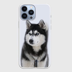 Чехол для iPhone 13 Pro Max с принтом ХАСКИ ,  |  | dog | husky | милый | пес | песик | собака | собачка | хаски | щенок