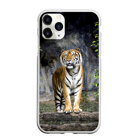 Чехол для iPhone 11 Pro матовый с принтом ТИГР В ЛЕСУ , Силикон |  | Тематика изображения на принте: tiger | амурский | бенгальский | в зоопарке | в лесу | дикий | кошка | крупная | полосатый | тигр | тигренок | тигрица