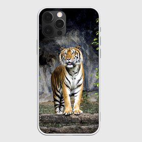 Чехол для iPhone 12 Pro Max с принтом ТИГР В ЛЕСУ , Силикон |  | Тематика изображения на принте: tiger | амурский | бенгальский | в зоопарке | в лесу | дикий | кошка | крупная | полосатый | тигр | тигренок | тигрица