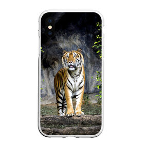 Чехол для iPhone XS Max матовый с принтом ТИГР В ЛЕСУ , Силикон | Область печати: задняя сторона чехла, без боковых панелей | tiger | амурский | бенгальский | в зоопарке | в лесу | дикий | кошка | крупная | полосатый | тигр | тигренок | тигрица