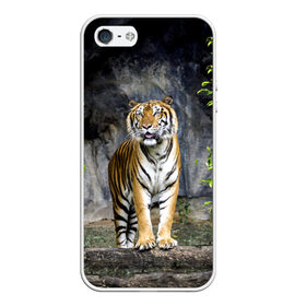 Чехол для iPhone 5/5S матовый с принтом ТИГР В ЛЕСУ , Силикон | Область печати: задняя сторона чехла, без боковых панелей | tiger | амурский | бенгальский | в зоопарке | в лесу | дикий | кошка | крупная | полосатый | тигр | тигренок | тигрица