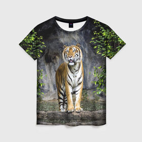 Женская футболка 3D с принтом ТИГР В ЛЕСУ , 100% полиэфир ( синтетическое хлопкоподобное полотно) | прямой крой, круглый вырез горловины, длина до линии бедер | tiger | амурский | бенгальский | в зоопарке | в лесу | дикий | кошка | крупная | полосатый | тигр | тигренок | тигрица