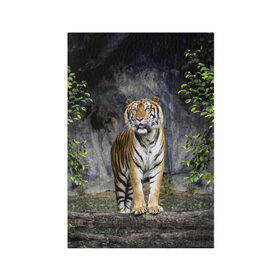 Обложка для паспорта матовая кожа с принтом ТИГР В ЛЕСУ , натуральная матовая кожа | размер 19,3 х 13,7 см; прозрачные пластиковые крепления | tiger | амурский | бенгальский | в зоопарке | в лесу | дикий | кошка | крупная | полосатый | тигр | тигренок | тигрица