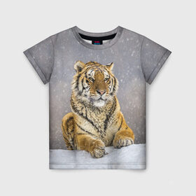 Детская футболка 3D с принтом ТИГР ЗИМОЙ , 100% гипоаллергенный полиэфир | прямой крой, круглый вырез горловины, длина до линии бедер, чуть спущенное плечо, ткань немного тянется | tiger | амурский | бенгальский | дикий | зима | зимой | кошка | крупная | полосатый | тигр | тигренок | тигрица