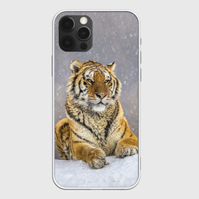 Чехол для iPhone 12 Pro Max с принтом ТИГР ЗИМОЙ , Силикон |  | Тематика изображения на принте: tiger | амурский | бенгальский | дикий | зима | зимой | кошка | крупная | полосатый | тигр | тигренок | тигрица