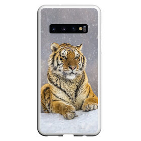 Чехол для Samsung Galaxy S10 с принтом ТИГР ЗИМОЙ , Силикон | Область печати: задняя сторона чехла, без боковых панелей | tiger | амурский | бенгальский | дикий | зима | зимой | кошка | крупная | полосатый | тигр | тигренок | тигрица
