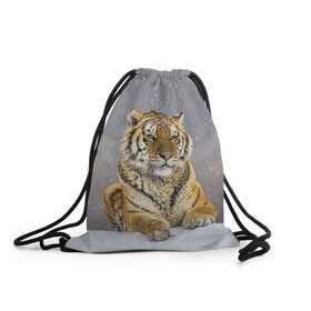 Рюкзак-мешок 3D с принтом ТИГР ЗИМОЙ , 100% полиэстер | плотность ткани — 200 г/м2, размер — 35 х 45 см; лямки — толстые шнурки, застежка на шнуровке, без карманов и подкладки | tiger | амурский | бенгальский | дикий | зима | зимой | кошка | крупная | полосатый | тигр | тигренок | тигрица