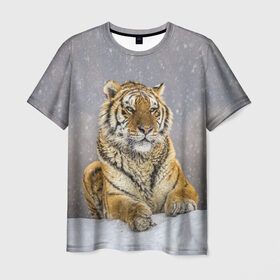 Мужская футболка 3D с принтом ТИГР ЗИМОЙ , 100% полиэфир | прямой крой, круглый вырез горловины, длина до линии бедер | tiger | амурский | бенгальский | дикий | зима | зимой | кошка | крупная | полосатый | тигр | тигренок | тигрица