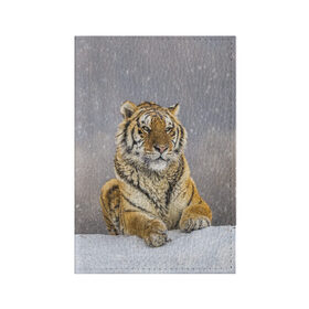 Обложка для паспорта матовая кожа с принтом ТИГР ЗИМОЙ , натуральная матовая кожа | размер 19,3 х 13,7 см; прозрачные пластиковые крепления | Тематика изображения на принте: tiger | амурский | бенгальский | дикий | зима | зимой | кошка | крупная | полосатый | тигр | тигренок | тигрица