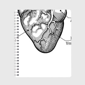 Тетрадь с принтом Схема сердца , 100% бумага | 48 листов, плотность листов — 60 г/м2, плотность картонной обложки — 250 г/м2. Листы скреплены сбоку удобной пружинной спиралью. Уголки страниц и обложки скругленные. Цвет линий — светло-серый
 | надписи | органы | сердце | схема