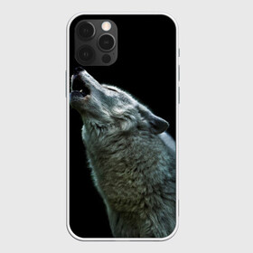 Чехол для iPhone 12 Pro с принтом Воющий волк  , силикон | область печати: задняя сторона чехла, без боковых панелей | ауф | волк | воющий волк | животное | зверь
