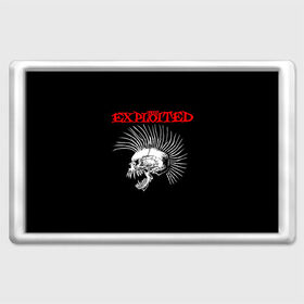 Магнит 45*70 с принтом The Exploited , Пластик | Размер: 78*52 мм; Размер печати: 70*45 | exploited | punks | punks not dead | the exploited | панк не сдох | панки | уоти | череп | эксплоитед