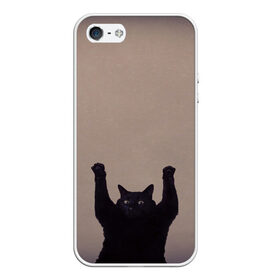 Чехол для iPhone 5/5S матовый с принтом Кот сдается , Силикон | Область печати: задняя сторона чехла, без боковых панелей | cat | арест | испуг | кот | руки вверх | черный кот