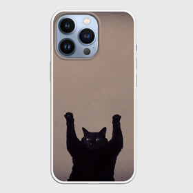 Чехол для iPhone 13 Pro с принтом Кот сдается ,  |  | cat | арест | испуг | кот | руки вверх | черный кот