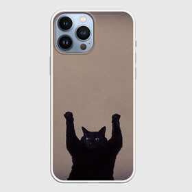 Чехол для iPhone 13 Pro Max с принтом Кот сдается ,  |  | cat | арест | испуг | кот | руки вверх | черный кот