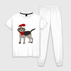 Женская пижама хлопок с принтом Новогодний Бигль , 100% хлопок | брюки и футболка прямого кроя, без карманов, на брюках мягкая резинка на поясе и по низу штанин | Тематика изображения на принте: 2021 | бигль | зима | зимняя собака | милый | нарядная собака | новогодний щенок | новый год | подарок | собака | собака в шапке | шарф | щенок | щенок с шарфом