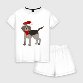 Женская пижама с шортиками хлопок с принтом Новогодний Бигль , 100% хлопок | футболка прямого кроя, шорты свободные с широкой мягкой резинкой | 2021 | бигль | зима | зимняя собака | милый | нарядная собака | новогодний щенок | новый год | подарок | собака | собака в шапке | шарф | щенок | щенок с шарфом