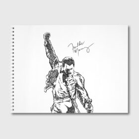Альбом для рисования с принтом Freddie Mercury , 100% бумага
 | матовая бумага, плотность 200 мг. | Тематика изображения на принте: freddie mercury | queen | автограф | квин | фредди меркьюри
