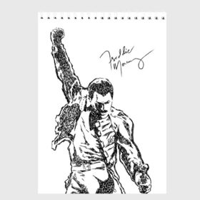 Скетчбук с принтом Freddie Mercury , 100% бумага
 | 48 листов, плотность листов — 100 г/м2, плотность картонной обложки — 250 г/м2. Листы скреплены сверху удобной пружинной спиралью | freddie mercury | queen | автограф | квин | фредди меркьюри
