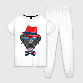 Женская пижама хлопок с принтом Мажор , 100% хлопок | брюки и футболка прямого кроя, без карманов, на брюках мягкая резинка на поясе и по низу штанин | арт | графика | животные | лабрадор | собаки