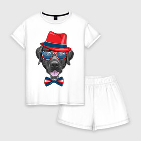 Женская пижама с шортиками хлопок с принтом Мажор  , 100% хлопок | футболка прямого кроя, шорты свободные с широкой мягкой резинкой | арт | графика | животные | лабрадор | собаки
