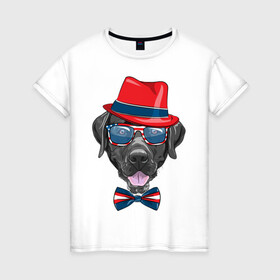 Женская футболка хлопок с принтом Мажор  , 100% хлопок | прямой крой, круглый вырез горловины, длина до линии бедер, слегка спущенное плечо | арт | графика | животные | лабрадор | собаки