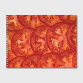 Альбом для рисования с принтом Помидорки , 100% бумага
 | матовая бумага, плотность 200 мг. | арт | еда | лето | овощ | овощи | помидор | помидорки | помидоры | рисунок | томат | томаты