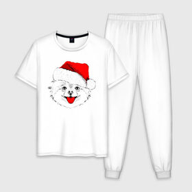 Мужская пижама хлопок с принтом Веселый Щенок Санта , 100% хлопок | брюки и футболка прямого кроя, без карманов, на брюках мягкая резинка на поясе и по низу штанин
 | 