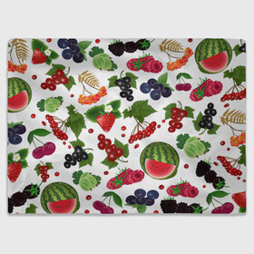 Плед 3D с принтом Ягоды , 100% полиэстер | закругленные углы, все края обработаны. Ткань не мнется и не растягивается | арбуз | белый фон | вишня | вкуснятина | калина | клубника | коллекция ягод | крыжовник | лето | малина | огород | рябина | сладкие | смородина | спелые | черника | ягодный фон | ягоды