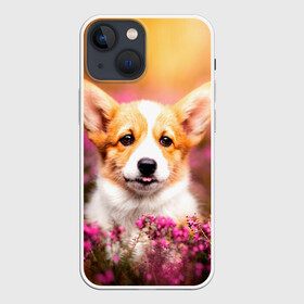 Чехол для iPhone 13 mini с принтом Вельш корги ,  |  | dog | вельш | вельш корги | животные | корги | пес | природа | собака | собаки | собакчка | собачки