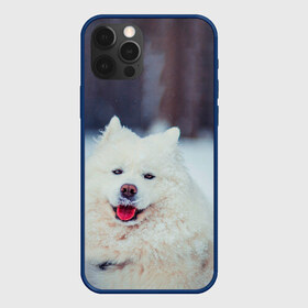 Чехол для iPhone 12 Pro Max с принтом САМОЕД , Силикон |  | animals | dog | winter | домашние | друг | животные | звери | зима | лайка | пес | песель | природа | пушистый | самоед | собаки | собачка | хаски