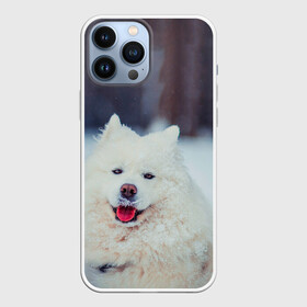 Чехол для iPhone 13 Pro Max с принтом САМОЕД ,  |  | Тематика изображения на принте: animals | dog | winter | домашние | друг | животные | звери | зима | лайка | пес | песель | природа | пушистый | самоед | собаки | собачка | хаски