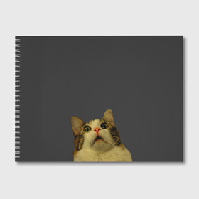 Альбом для рисования с принтом Коте смотрит вверх , 100% бумага
 | матовая бумага, плотность 200 мг. | cat | up | вверх | кот | подглядывание | удивление