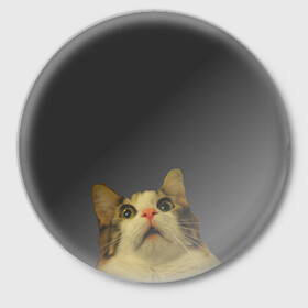 Значок с принтом Котэ смотрит вверх ,  металл | круглая форма, металлическая застежка в виде булавки | cat | up | вверх | кот | подглядывание | удивление