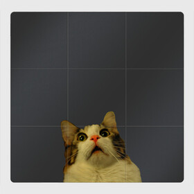 Магнитный плакат 3Х3 с принтом Котэ смотрит вверх , Полимерный материал с магнитным слоем | 9 деталей размером 9*9 см | cat | up | вверх | кот | подглядывание | удивление