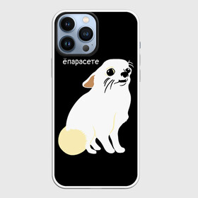 Чехол для iPhone 13 Pro Max с принтом ёпарасете ,  |  | Тематика изображения на принте: baby | dog | emoji | lol | what | белая собака | в смысле | взгляд | глаза | домашние животные | животные | малыш | мем | мордочка | мультяшный | пёсик | прикол | проблемы | собака | собака мем | собачка | чихуахуа