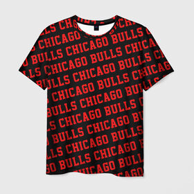 Мужская футболка 3D с принтом Чикаго Буллз , 100% полиэфир | прямой крой, круглый вырез горловины, длина до линии бедер | 