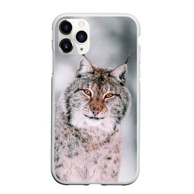 Чехол для iPhone 11 Pro Max матовый с принтом Рысь , Силикон |  | cat | животные | звири | кис | киска | кот | котейка | котик | коты | котяра | кошка | кошки | природа | рысь