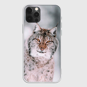 Чехол для iPhone 12 Pro Max с принтом Рысь , Силикон |  | Тематика изображения на принте: cat | животные | звири | кис | киска | кот | котейка | котик | коты | котяра | кошка | кошки | природа | рысь