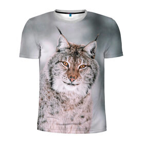 Мужская футболка 3D спортивная с принтом Рысь , 100% полиэстер с улучшенными характеристиками | приталенный силуэт, круглая горловина, широкие плечи, сужается к линии бедра | cat | животные | звири | кис | киска | кот | котейка | котик | коты | котяра | кошка | кошки | природа | рысь